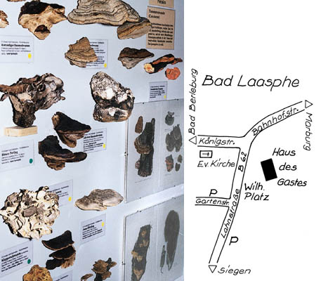 Foto: Frank-Michael Brösel