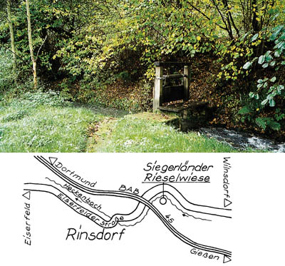 Foto: Frank-Michael Brösel