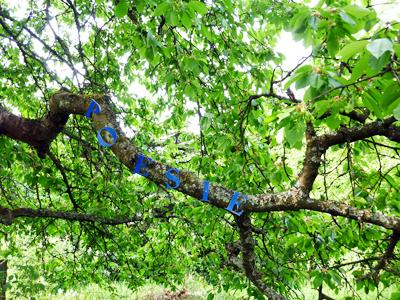 `Poesie`, Marlies Obier, 2011