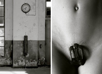 Fotos: Fenchel, Venus Feder
