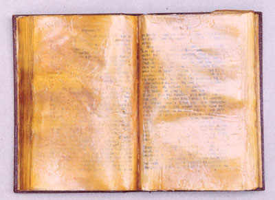 Buchobjekt, 2006, 15x21 cm