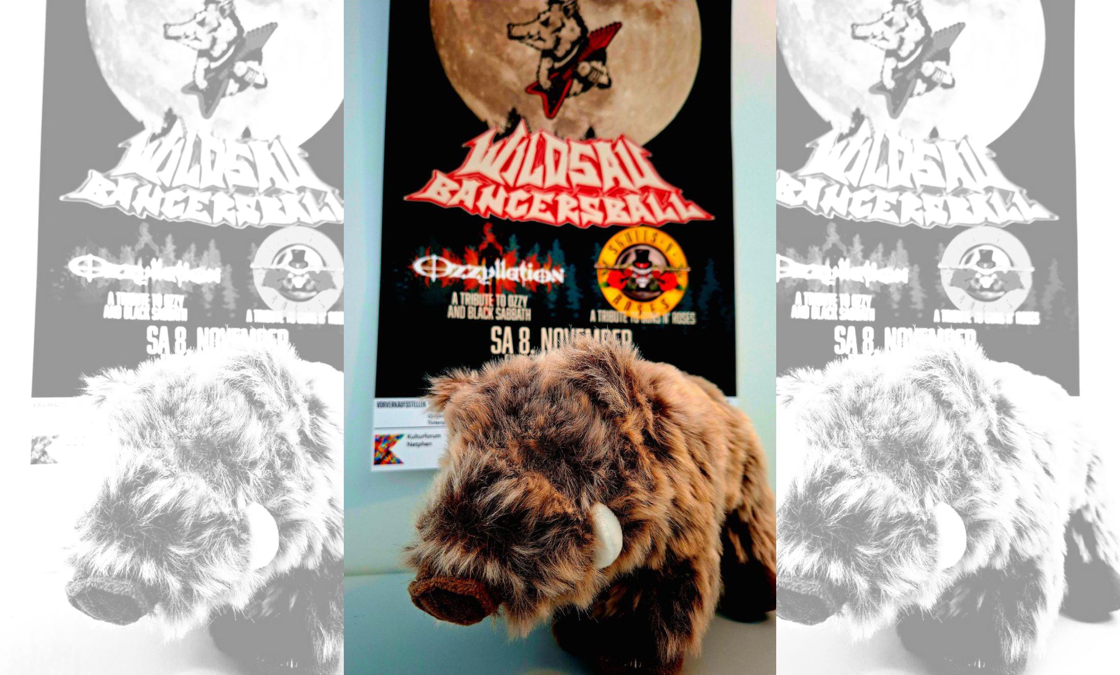 © Kulturforum Netphen e.V.