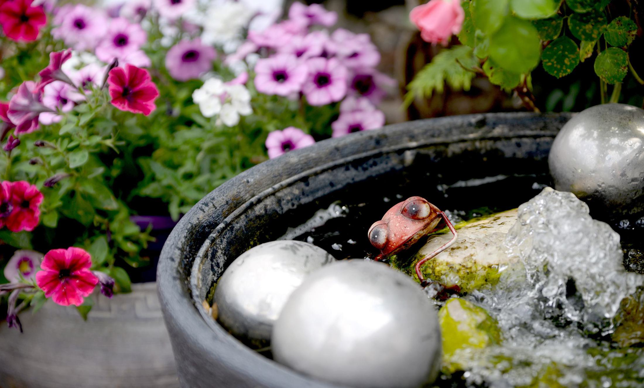 © garten-in-wilnsdorf-c-moni-kircher.jpg